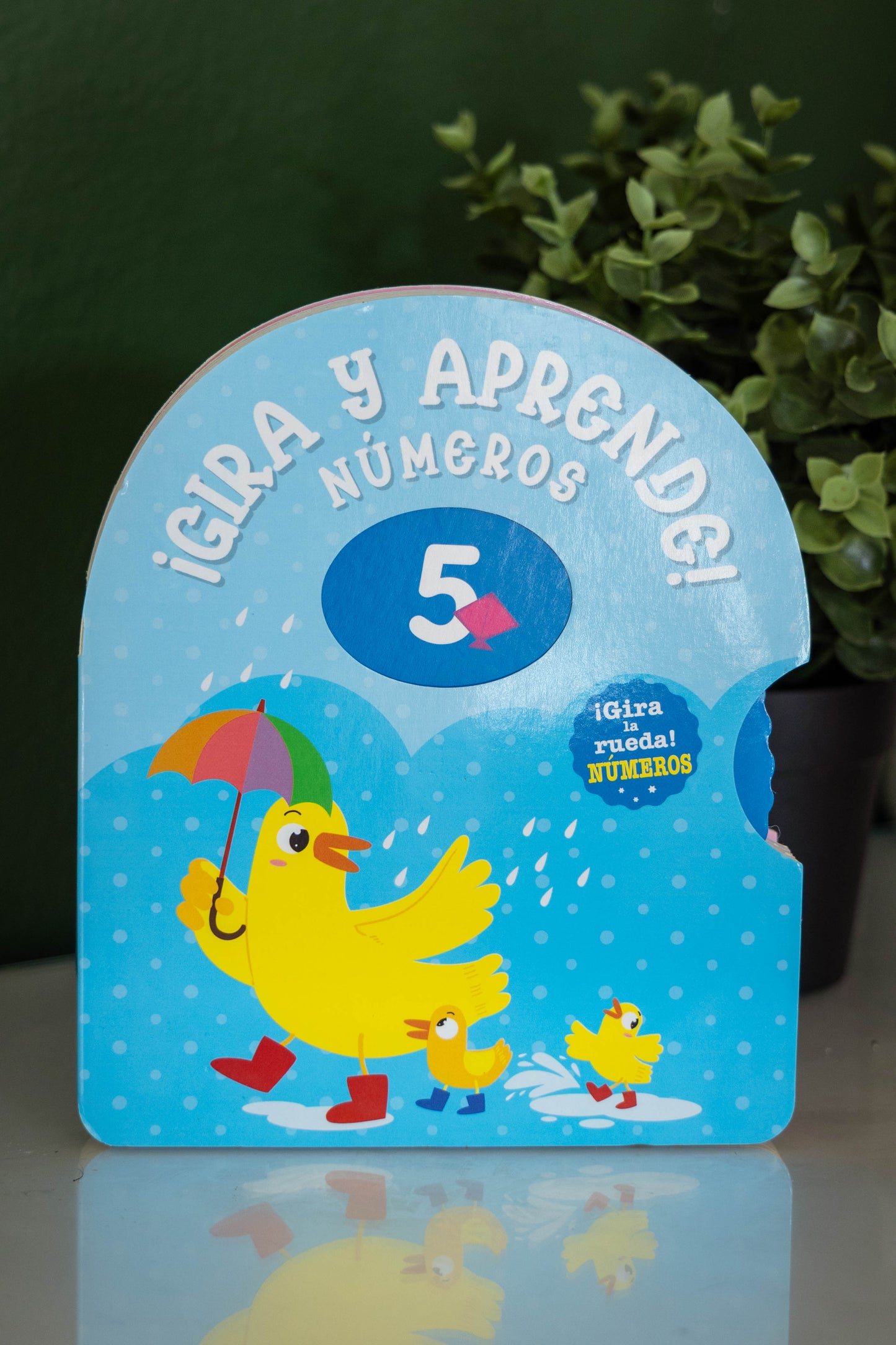 ¡Gira y aprende!