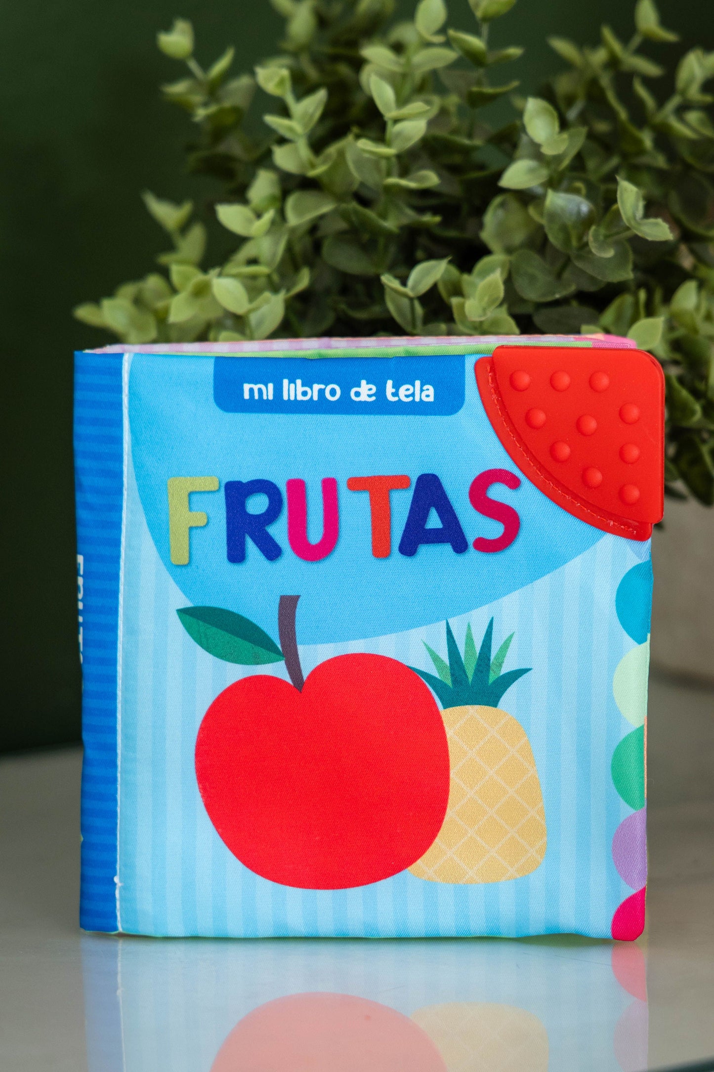 Mi libro de tela