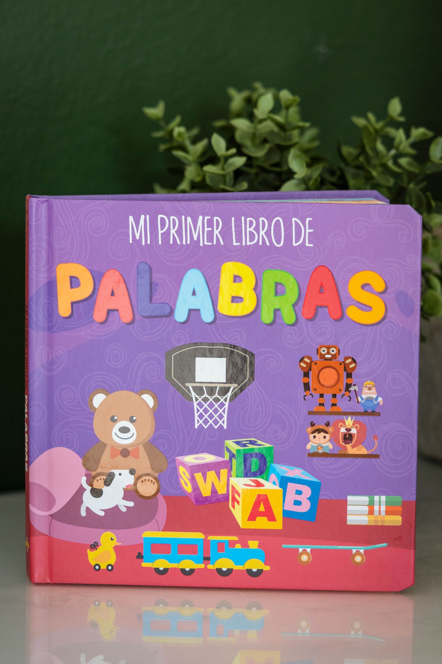 Mi primer libro de…