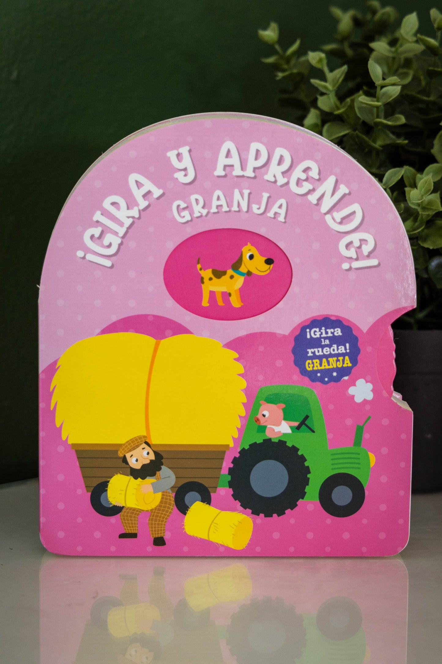 ¡Gira y aprende!
