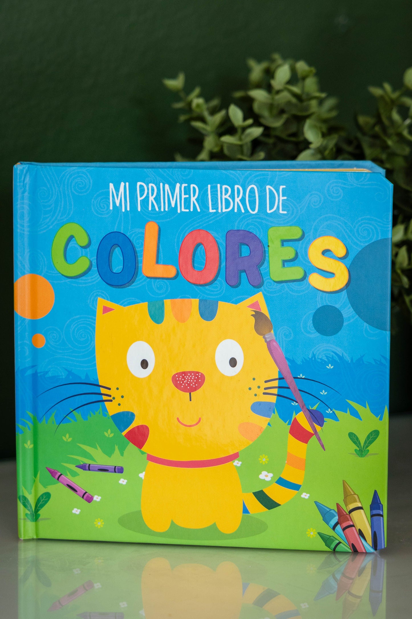 Mi primer libro de…