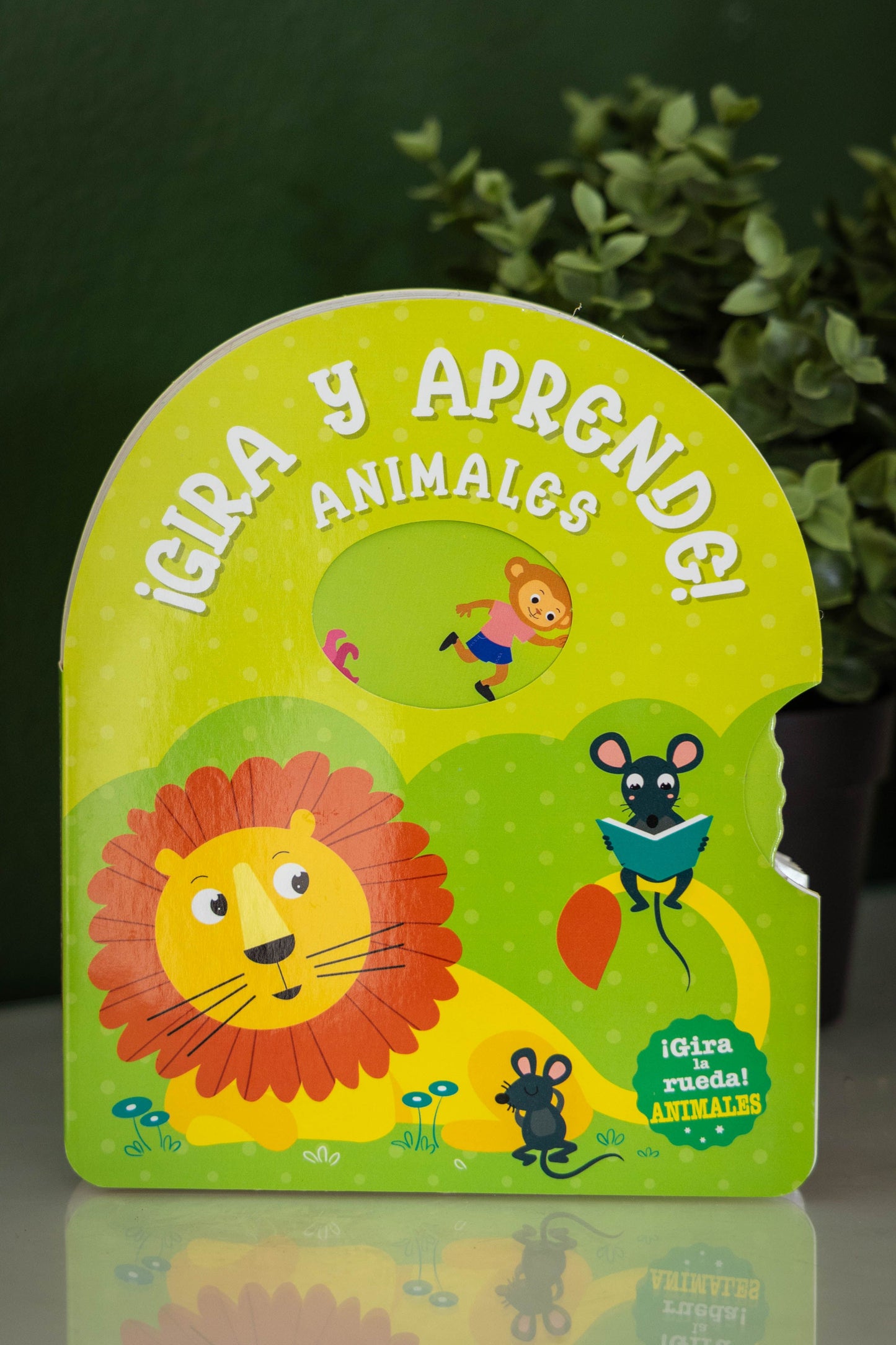¡Gira y aprende!