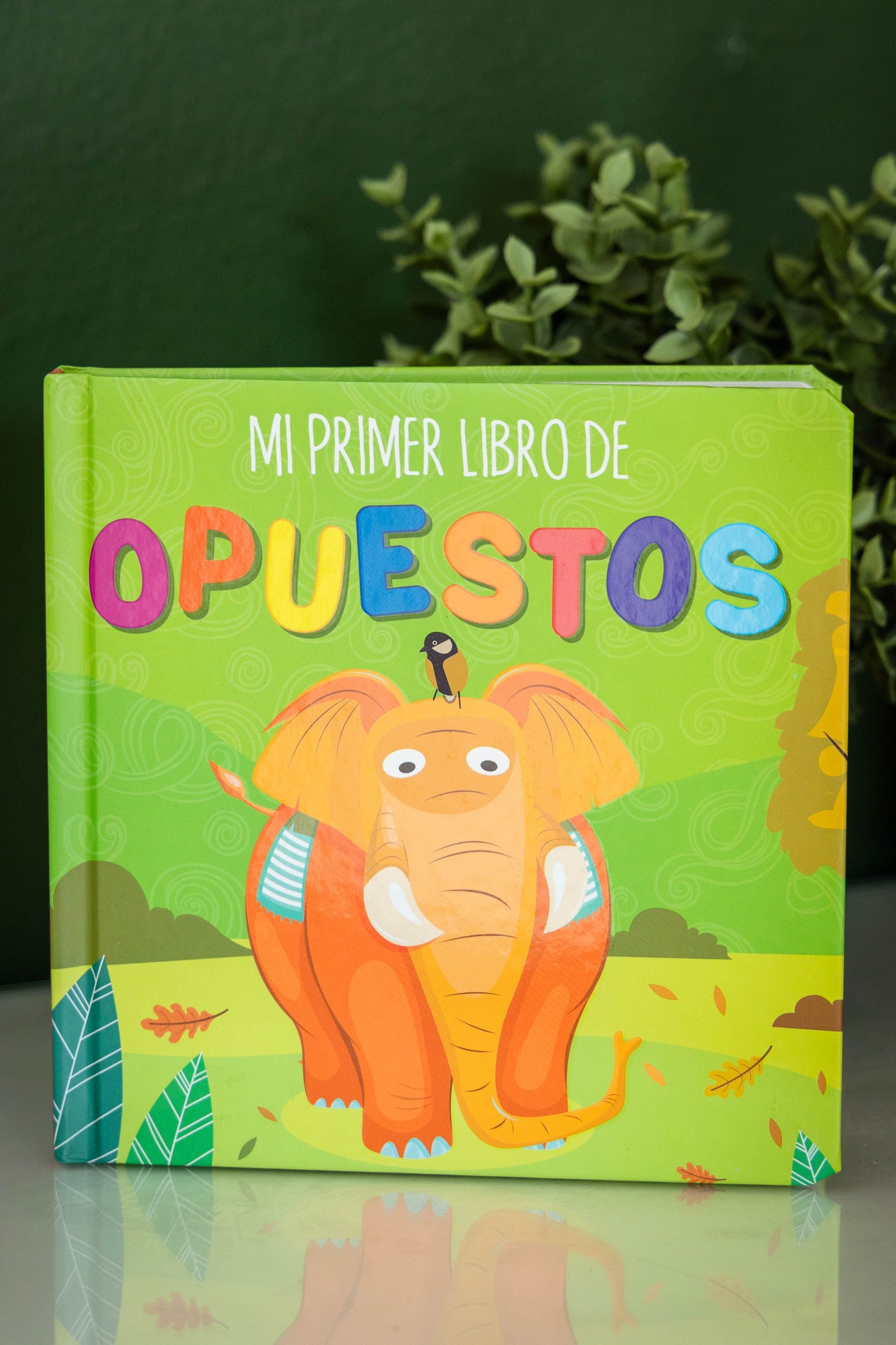 Mi primer libro de…